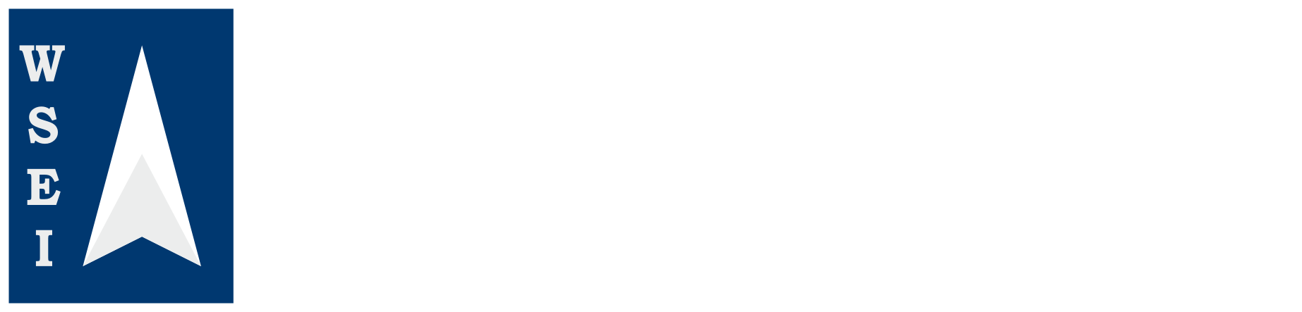 Logo WSEI Białe